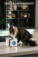 3-in-1 Smart Pet Water Dispenser – Perfect for Cats & Dogs