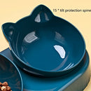 3-in-1 Cat & Dog Bowl with Automatic Water Dispenser – Pet Comfort & No Spill