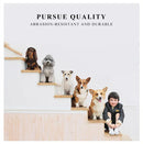 Pet-Friendly Comfort Travel Bag – Perfect for Cats & Dogs